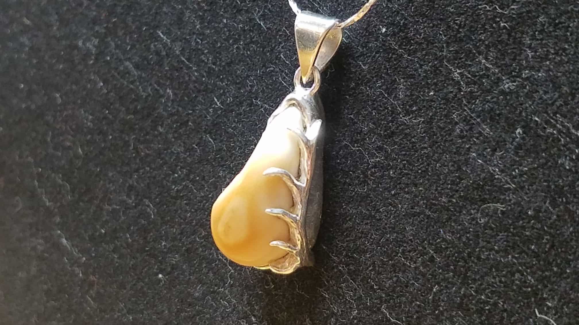 elk tooth pendant