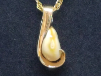 Single Elk Tooth pendant